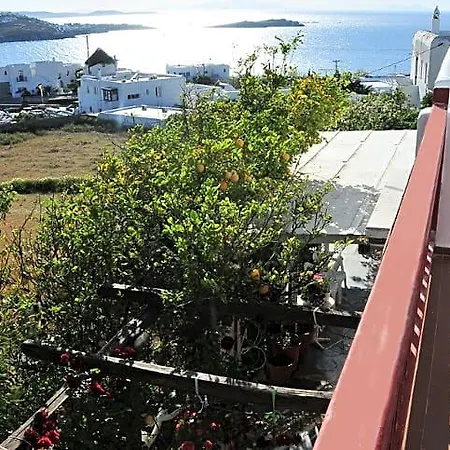 Loukas 3*